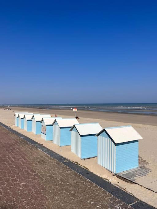 Retour De * Wimereux